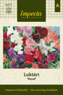 Ge bort en fröklapp som julklapp