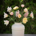 Tulpanmix ''Drömmig aprikos'', Mjuka och varma nyanser av aprikos, gult, rosa och cremevitt.
