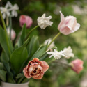 Tulpanmix ''Romantiskt gammelrosa'' Romantisk bukett i ljust rosa, champagne, aprikos och gräddvitt.