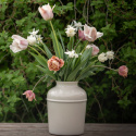 Tulpanmix ''Romantiskt gammelrosa'' Romantisk bukett i ljust rosa, champagne, aprikos och gräddvitt.